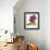 Floral Saturation II-Boyce Watt-Framed Giclee Print displayed on a wall