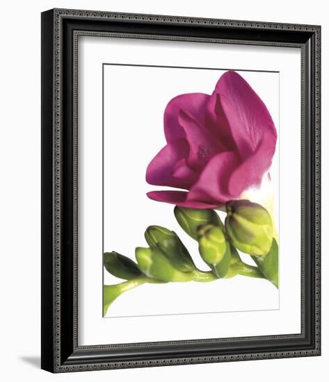 Floral Saturation II-Boyce Watt-Framed Giclee Print