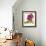 Floral Saturation II-Boyce Watt-Framed Giclee Print displayed on a wall