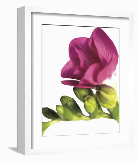 Floral Saturation II-Boyce Watt-Framed Giclee Print