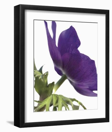 Floral Saturation III-Boyce Watt-Framed Giclee Print