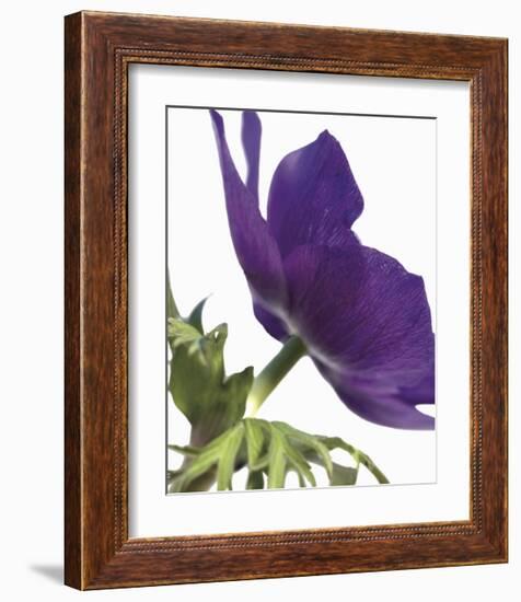 Floral Saturation III-Boyce Watt-Framed Giclee Print