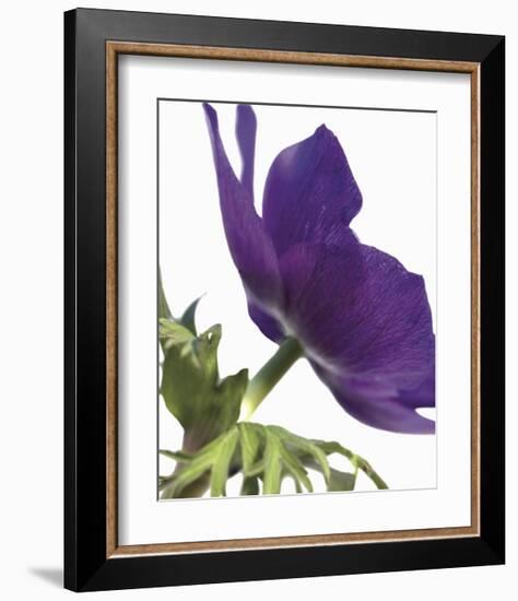 Floral Saturation III-Boyce Watt-Framed Giclee Print