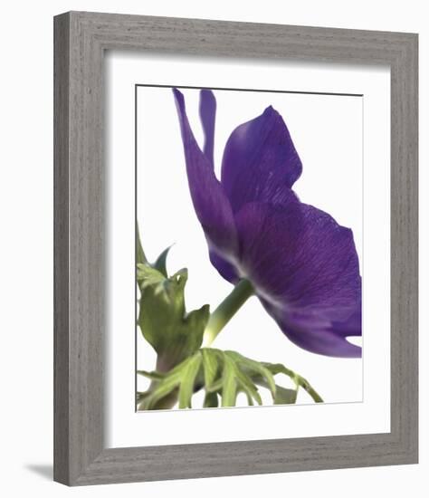 Floral Saturation III-Boyce Watt-Framed Giclee Print