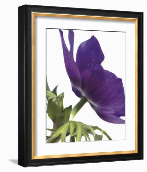 Floral Saturation III-Boyce Watt-Framed Giclee Print