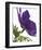 Floral Saturation III-Boyce Watt-Framed Giclee Print