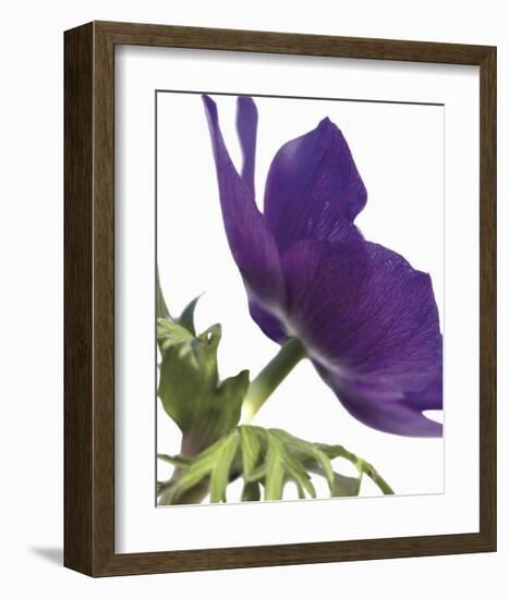 Floral Saturation III-Boyce Watt-Framed Giclee Print