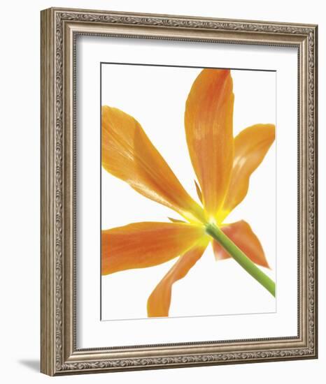 Floral Saturation IV-Boyce Watt-Framed Giclee Print