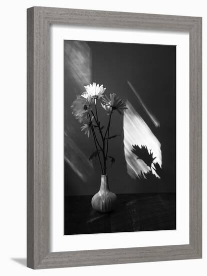 Floral Shadow-Irene Suchocki-Framed Giclee Print