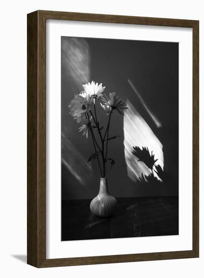 Floral Shadow-Irene Suchocki-Framed Giclee Print