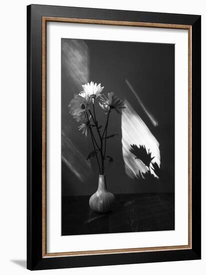 Floral Shadow-Irene Suchocki-Framed Giclee Print