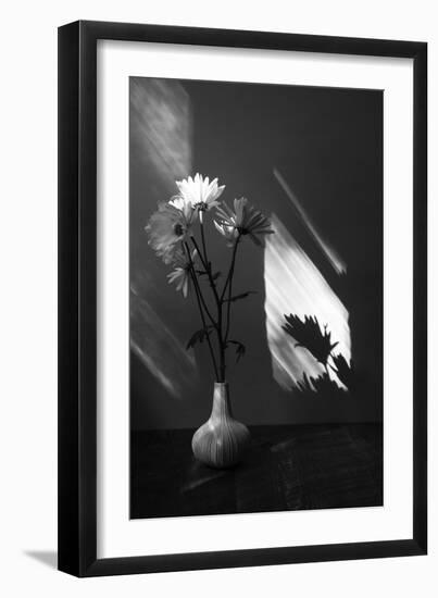 Floral Shadow-Irene Suchocki-Framed Giclee Print