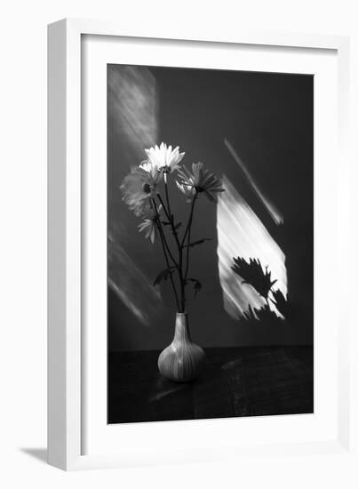 Floral Shadow-Irene Suchocki-Framed Giclee Print