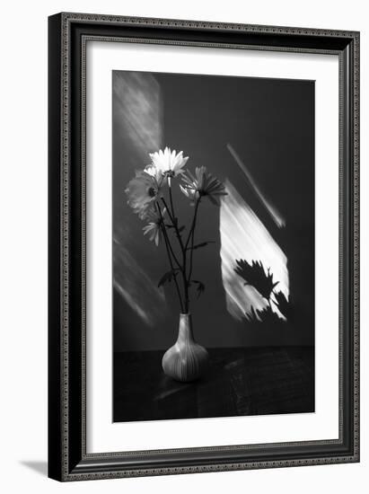 Floral Shadow-Irene Suchocki-Framed Giclee Print