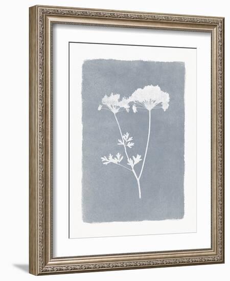 Floral Silhouette - Bloom-Thomas Hazlehurst-Framed Giclee Print