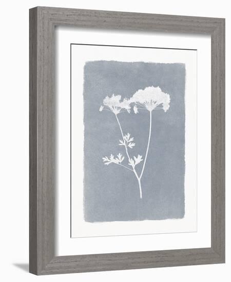 Floral Silhouette - Bloom-Thomas Hazlehurst-Framed Giclee Print