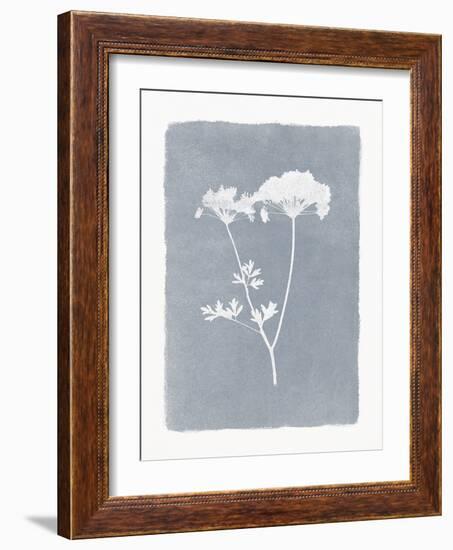 Floral Silhouette - Bloom-Thomas Hazlehurst-Framed Giclee Print