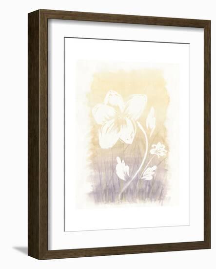 Floral Silhouette II-Elyse DeNeige-Framed Art Print