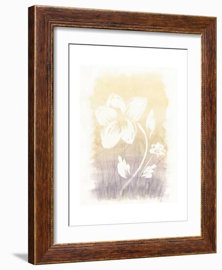 Floral Silhouette II-Elyse DeNeige-Framed Art Print