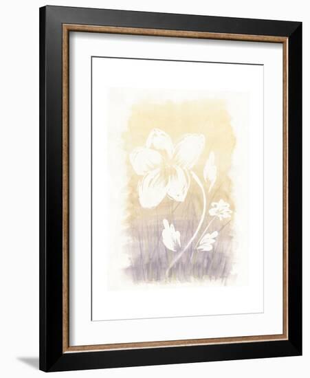 Floral Silhouette II-Elyse DeNeige-Framed Art Print