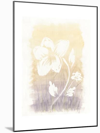 Floral Silhouette II-Elyse DeNeige-Mounted Art Print