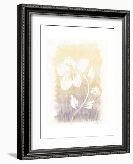 Floral Silhouette II-Elyse DeNeige-Framed Art Print