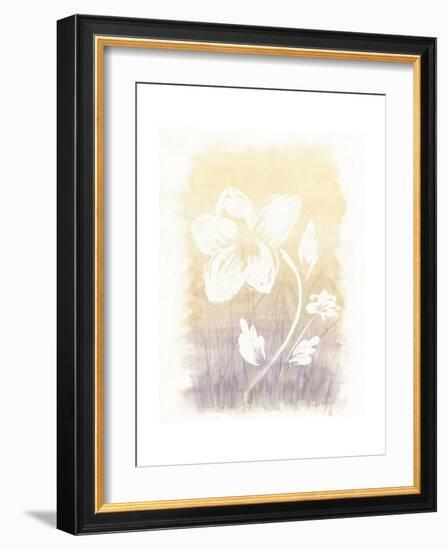 Floral Silhouette II-Elyse DeNeige-Framed Art Print