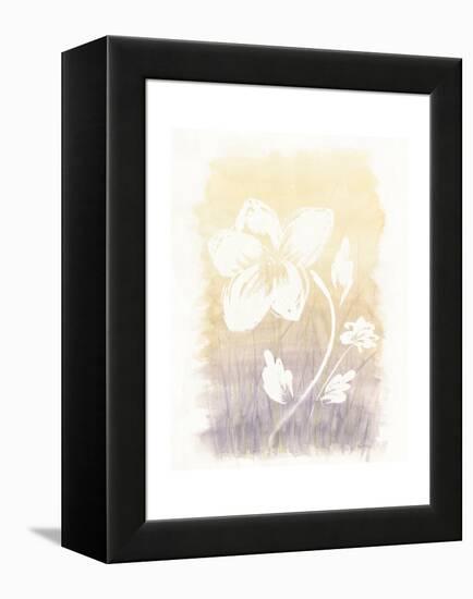 Floral Silhouette II-Elyse DeNeige-Framed Stretched Canvas