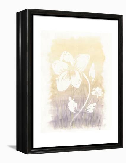 Floral Silhouette II-Elyse DeNeige-Framed Stretched Canvas