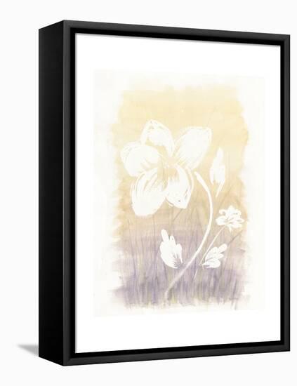 Floral Silhouette II-Elyse DeNeige-Framed Stretched Canvas