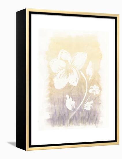 Floral Silhouette II-Elyse DeNeige-Framed Stretched Canvas