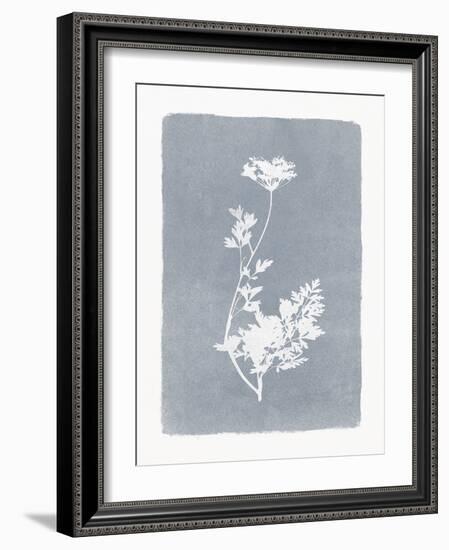 Floral Silhouette - Stem-Thomas Hazlehurst-Framed Giclee Print