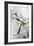 Floral Sketch II-Asia Jensen-Framed Premium Giclee Print