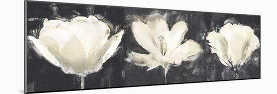 Floral Sketch Triptych-Malcolm Sanders-Mounted Giclee Print