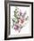 Floral, South African daisies and lavander, 2004-Claudia Hutchins-Puechavy-Framed Giclee Print
