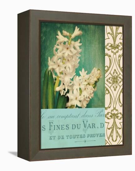 Floral Souvenir 2-Cristin Atria-Framed Stretched Canvas