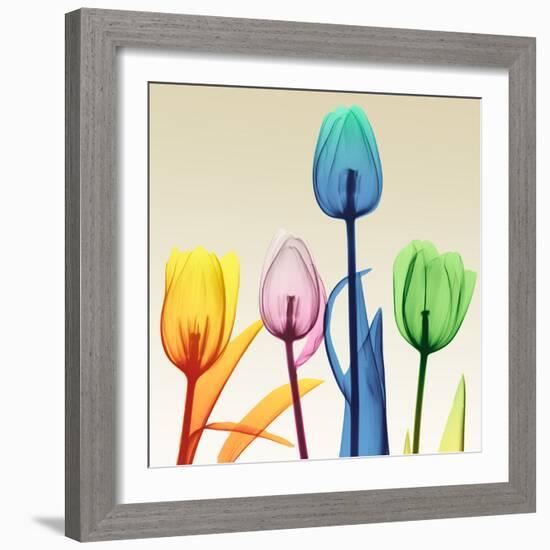 Floral Splurge 1-Albert Koetsier-Framed Photo