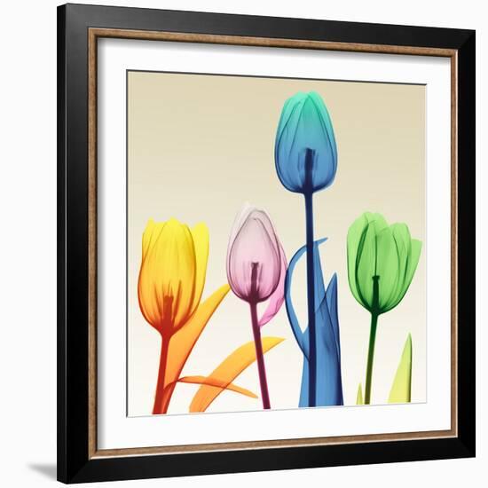 Floral Splurge 1-Albert Koetsier-Framed Photo