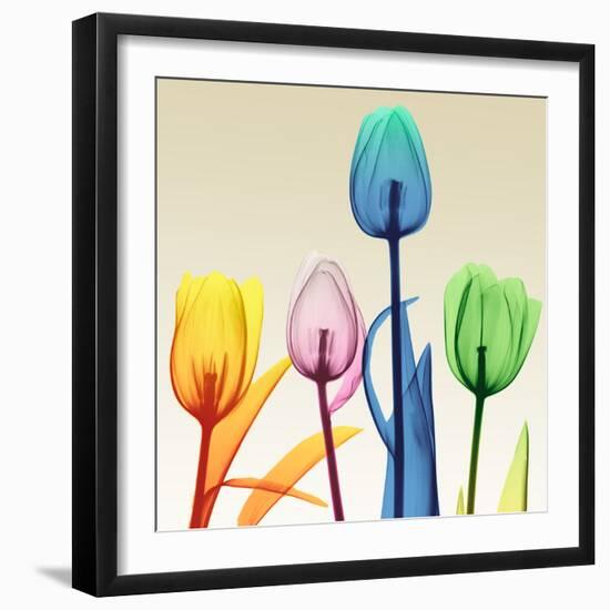 Floral Splurge 1-Albert Koetsier-Framed Photo