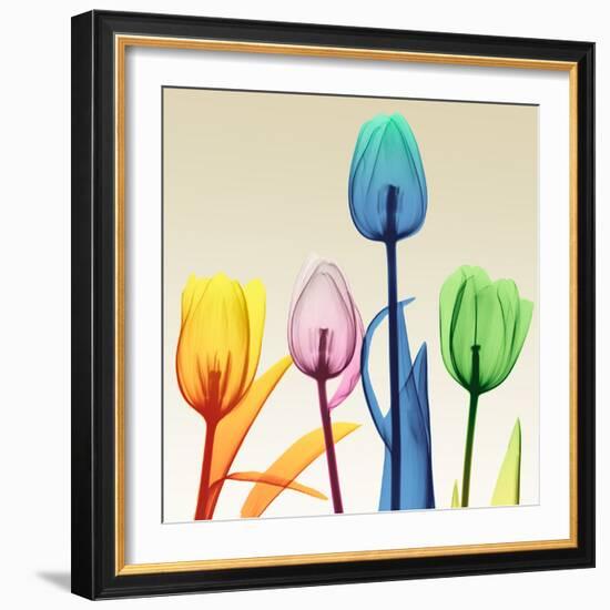 Floral Splurge 1-Albert Koetsier-Framed Photo