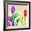 Floral Splurge 2-Albert Koetsier-Framed Photo