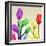 Floral Splurge 2-Albert Koetsier-Framed Photo