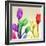 Floral Splurge 2-Albert Koetsier-Framed Photo