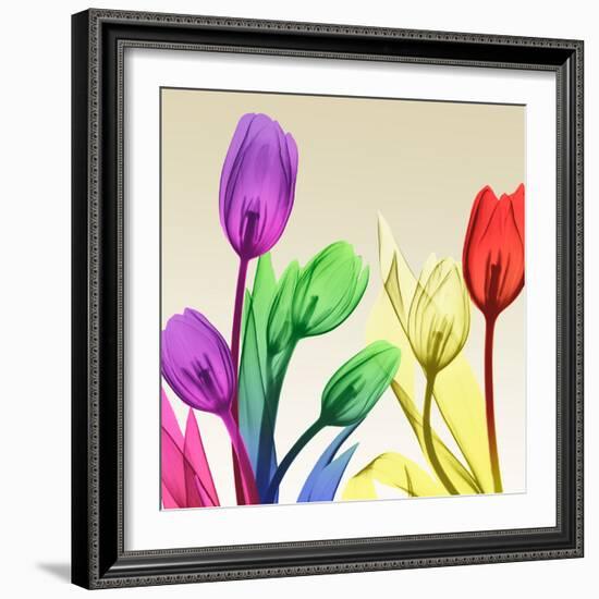 Floral Splurge 2-Albert Koetsier-Framed Photo