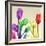 Floral Splurge 2-Albert Koetsier-Framed Photo