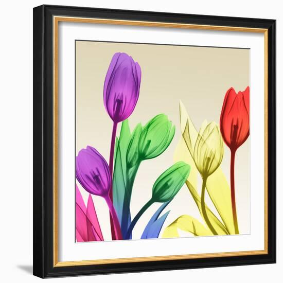 Floral Splurge 2-Albert Koetsier-Framed Photo