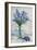 Floral Spray in Vase I-Tim O'Toole-Framed Art Print