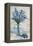 Floral Spray in Vase I-Tim O'Toole-Framed Stretched Canvas