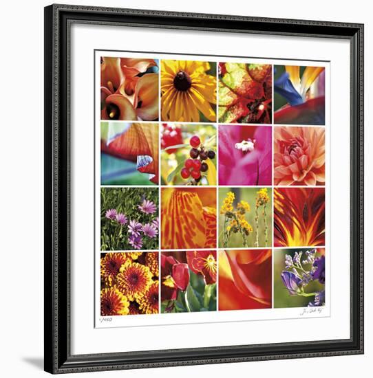 Floral Square Ensemble-Joy Doherty-Framed Giclee Print