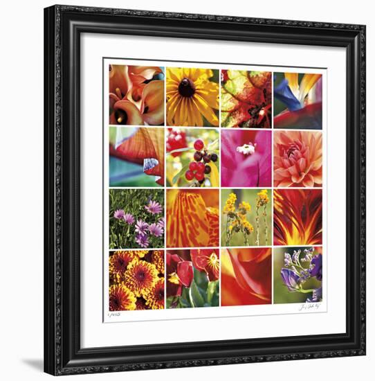 Floral Square Ensemble-Joy Doherty-Framed Giclee Print